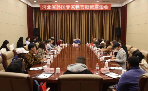 Experience the smooth holding of the symposium on Chinese cultural advice and suggestions